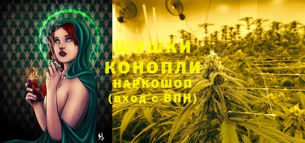 круглые Инсар