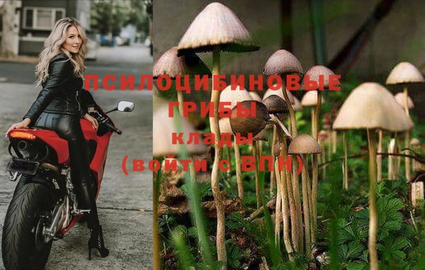 кокаин перу Иннополис